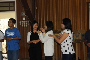 pdm2013A